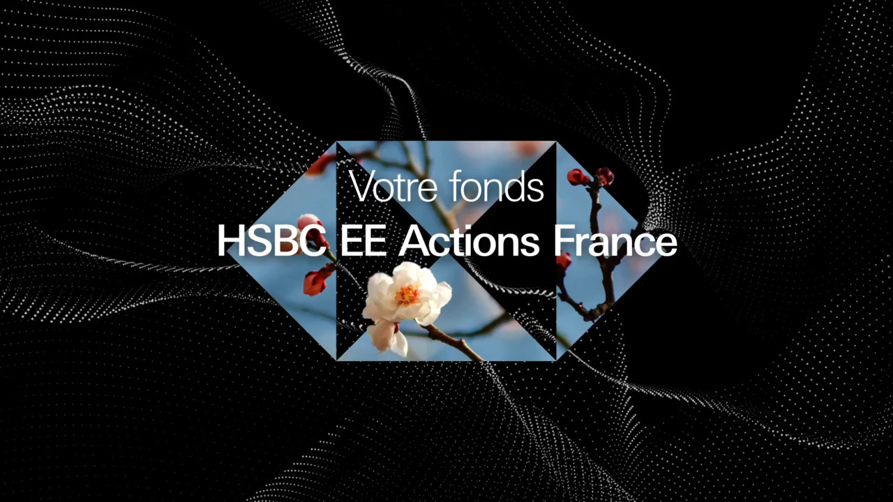 Votre fonds - HSBC EE Actions France