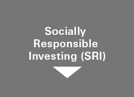 Socially Responsible Investing (SRI)
